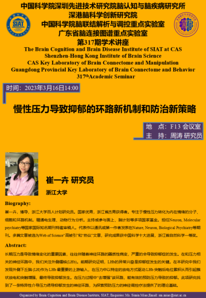 慢性压力导致抑郁的环路新机制和防治新策略